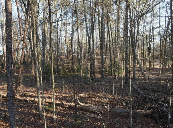 Pamela Lane, Laurens, SC 29360