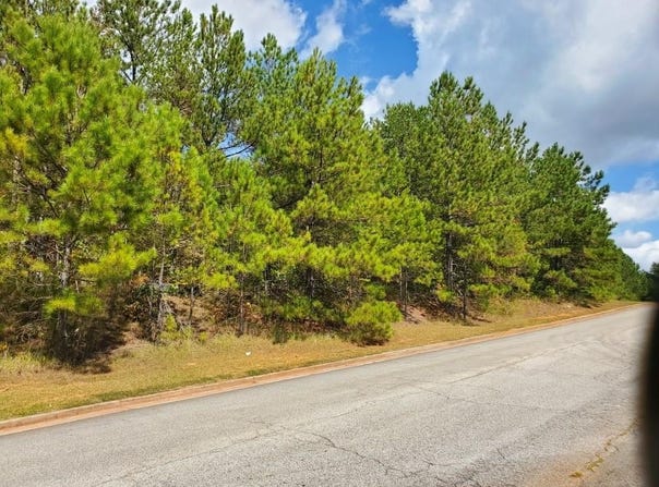 Stonebridge Boulevard, Bremen, GA 30110