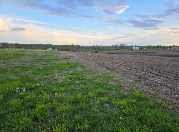 Hempstead Street, Martensdale, IA 50211