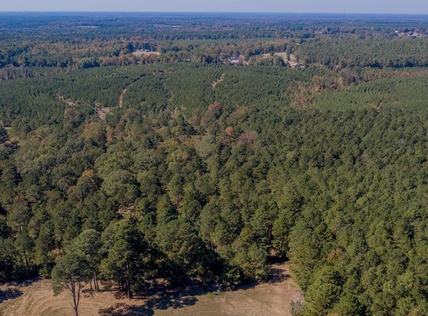 Hwy 159, Minden, LA 71055
