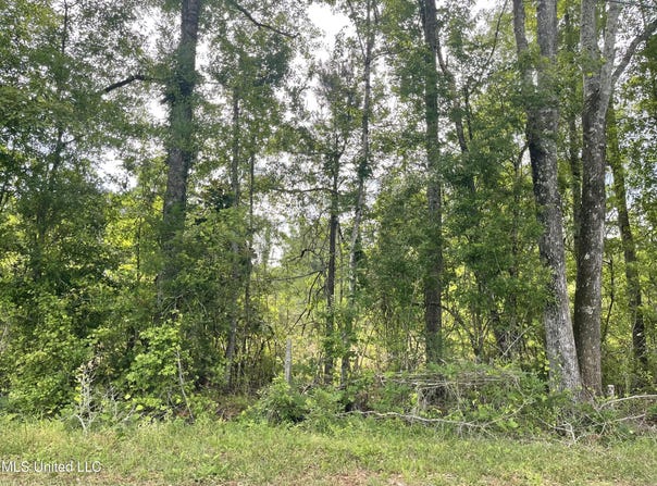 316 Thompson Hill Road, McLain, MS 39456