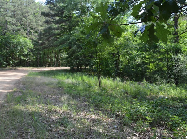 5990 Martin Lane, Harrisburg, AR 72432