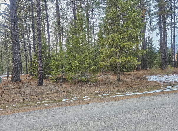 270 EAGLE DR, CHEWELAH, WA 99109