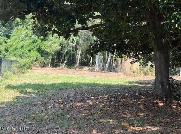 Camelia Drive, Pass Christian, MS 39571