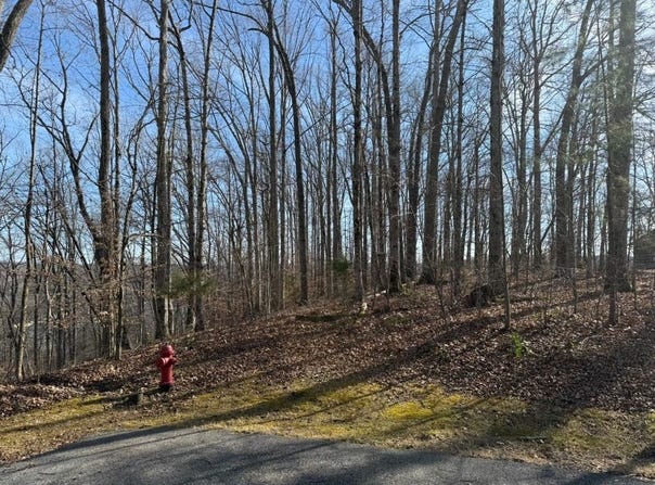 Mountain Harbor Drive lot: 13, Sparta, TN 38583