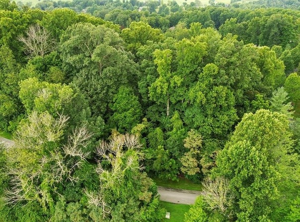 Tbd Stonewall Ridge Lot #23, Bristol, VA 24202