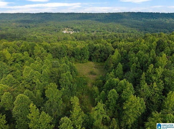 Lot #4 HIGHWAY 75, ONEONTA, AL 35121