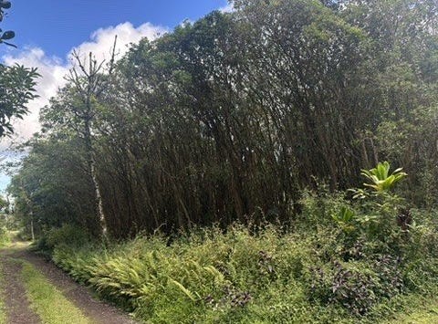 12-559 HAWAII ST, Pahoa, HI 96778