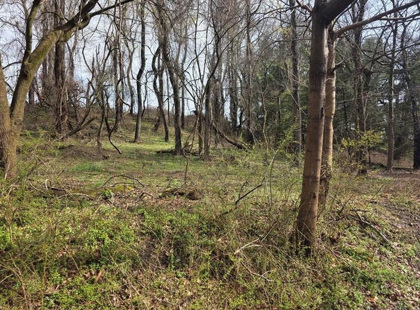 Birch Lane, Wheeling, WV 26003