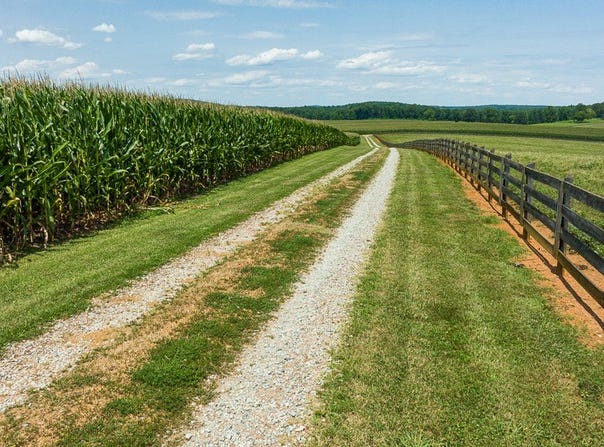 1403 Moores Mill Road, Rougemont, NC 27572