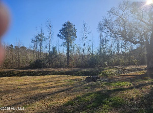 1200 Anderson Road, Willard, NC 28478