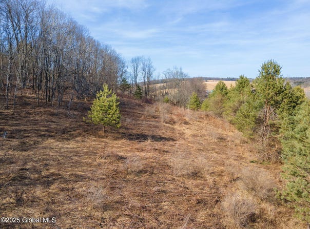 L20.2 Indian Brook Road, Greene, NY 13778