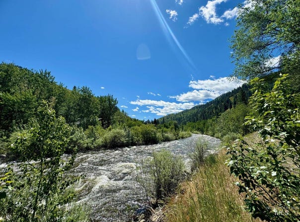 115 Helm Lane, Pollock, ID 83547