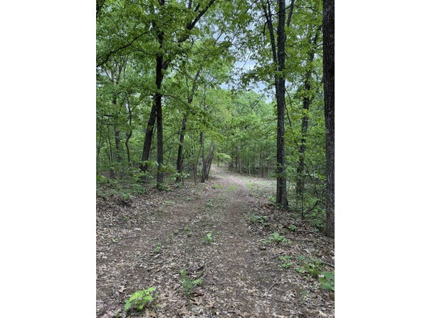 40 Ridge Road, Hardy, AR 72542