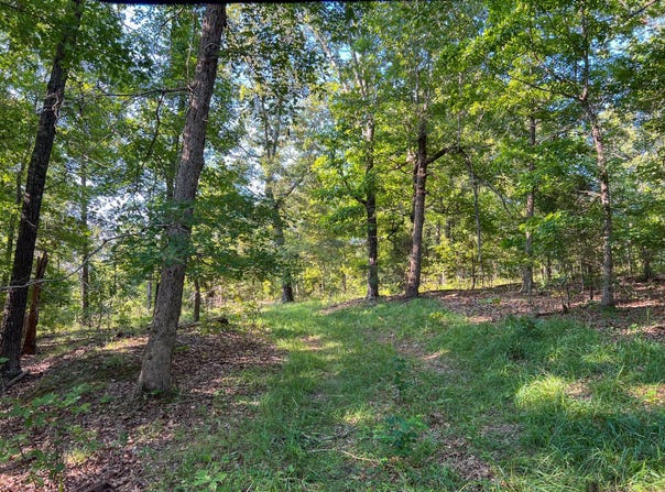 000 State Route JJ, West Plains, MO 65793