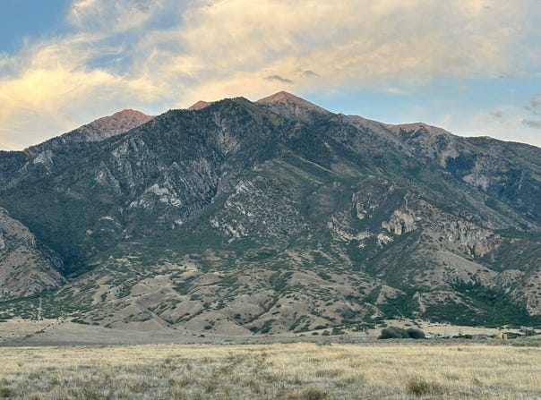463 S 300 E, Mona, UT 84645
