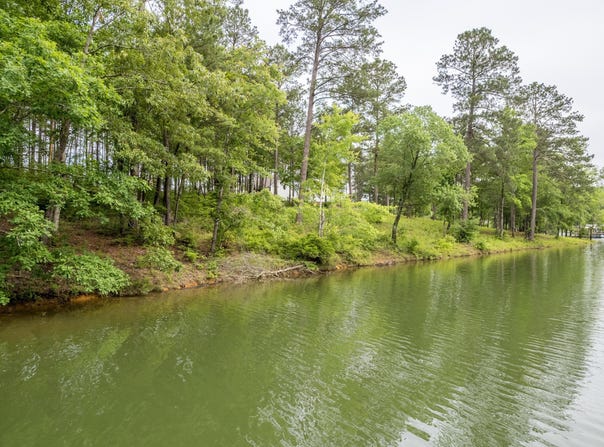 LOT 49 SHORESIDE AT SIPSEY, Double Springs, AL 35553