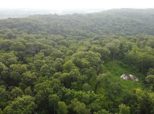 78+/- Acres TBD W Blanding, HANOVER, IL 61041