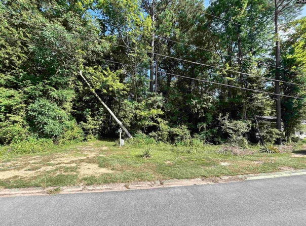 1120 Newnham Drive, Columbia, SC 29210