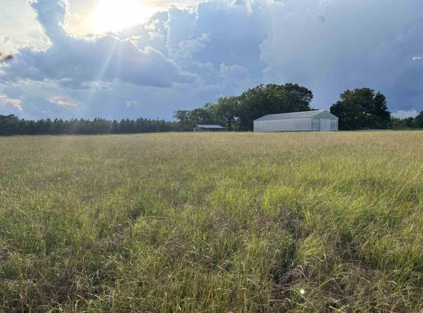 0 Highway 291 South, Prattsville, AR 72129