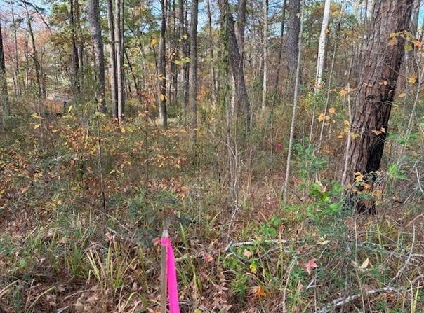 0001 Loggers Trail, Many, LA 71449