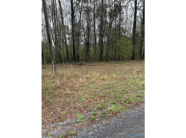 Lot 11,0.91 Ac Dry Creek Road, Cleveland, AL 35049