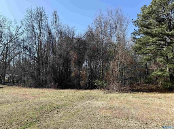 478 Mose Chapel Road, Madison, AL 35758