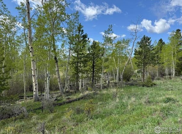 137 Cimarron Rd, Red Feather Lakes, CO 80545