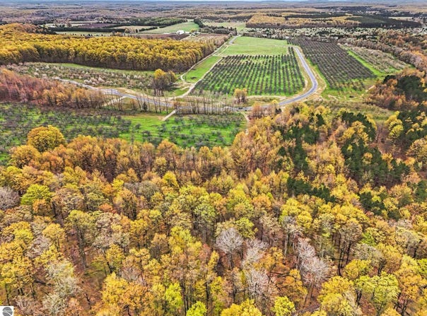 Parcel 14 Karnes Road, Glen Arbor, MI 49636