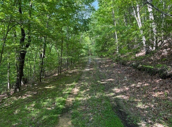 0 County Road 103, Mentone, AL 35984