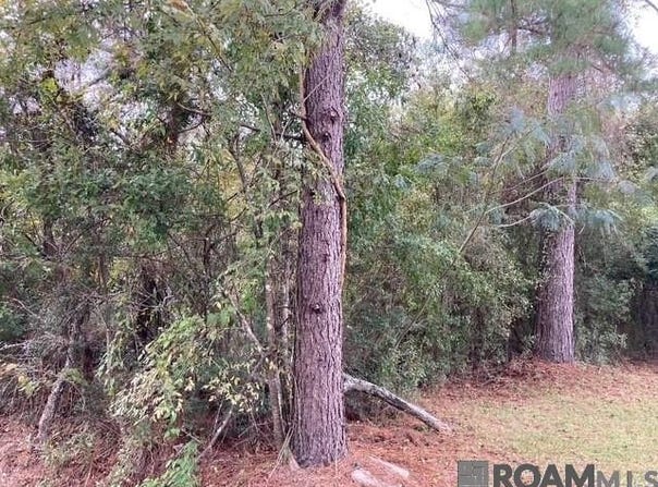 Lot 14 Lucien St, Denham Springs, LA 70726