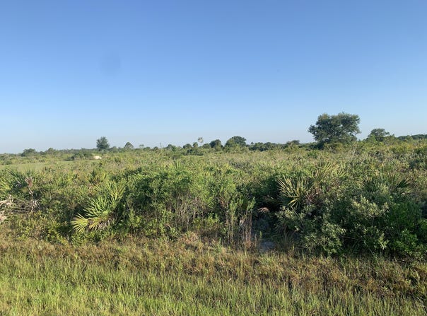 19142 NW 264th Street, Okeechobee, FL 34972