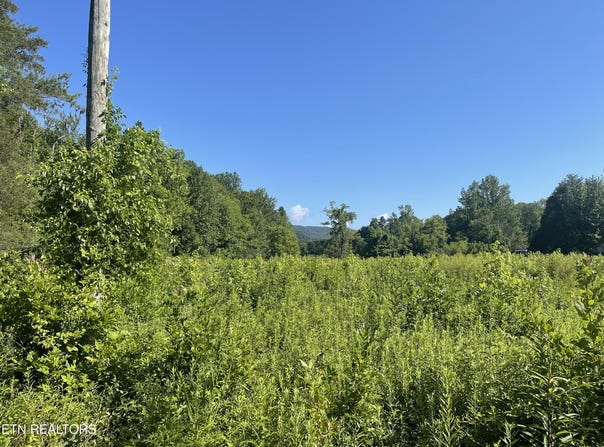 962 Marlow Circle, Clinton, TN 37716