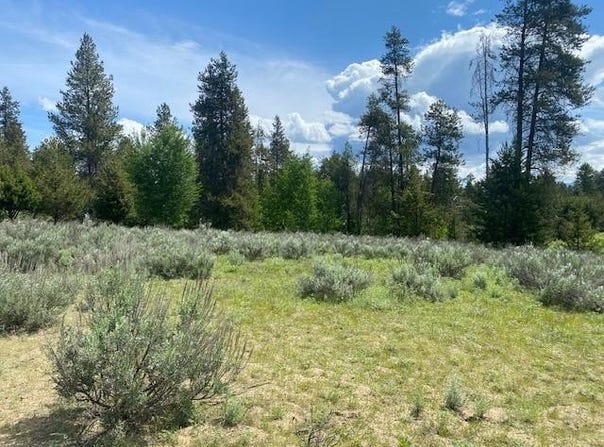 13054 Eld Lane, Donnelly, ID 83615