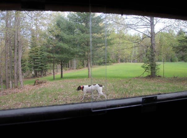 Hall Road, Atlanta, MI 49709