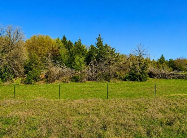 Parker Dairy Road lot: 11, Forestburg, TX 76239