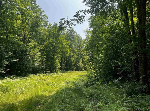 20 acres Brown Deer, Big Bay, MI 49808