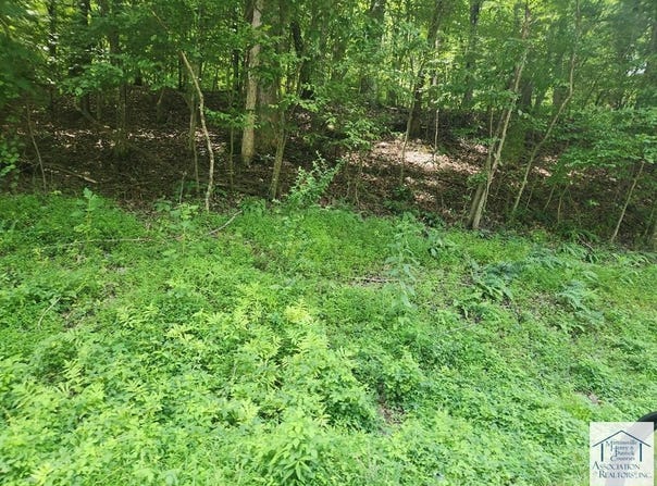 0 Carver Rd, Collinsville, VA 24078