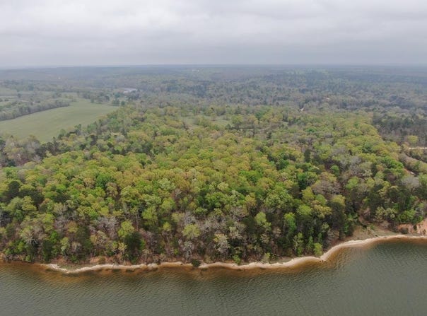 GA Hwy #39, Georgetown, GA 39854