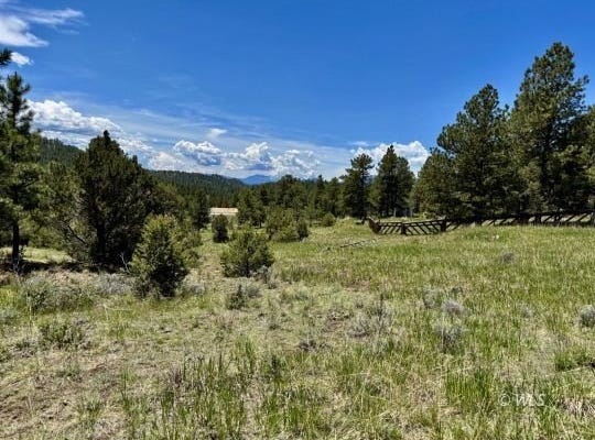 TR42 CR 329, Westcliffe, CO 81252