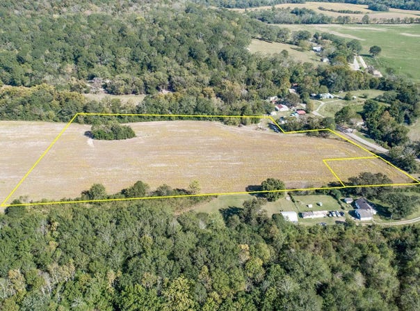+/-  9.92 Acres Alabama Highway 65, Princeton, AL 35766