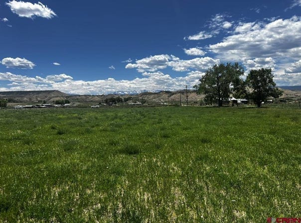 TBD Racine Road, Montrose, CO 81401