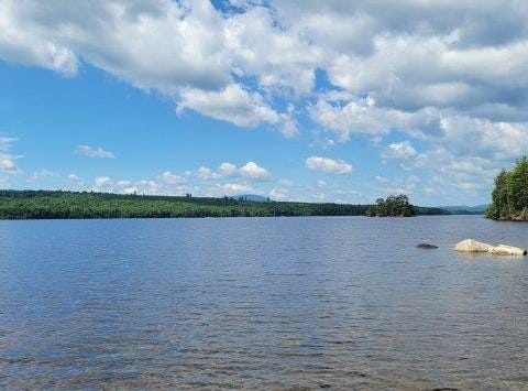 15,15.1 Wadleigh Pond Road, T4 Indian Purchase Twp, ME 04462
