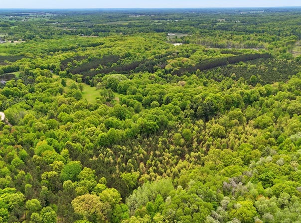 80+/- Acres V/L 140th Ave, Stanwood, MI 49346