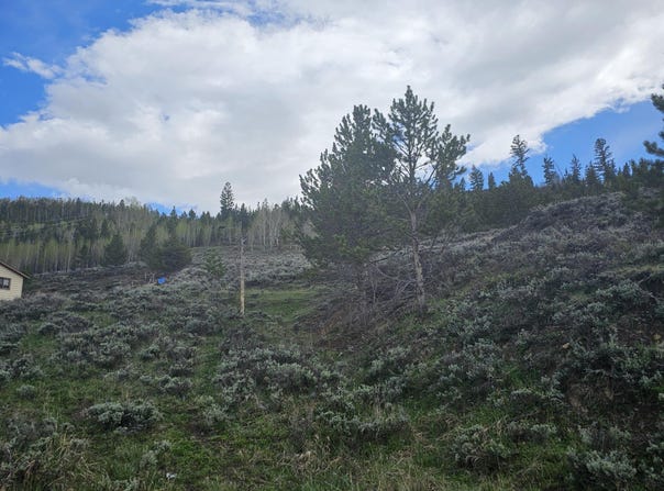 Roosevelt, Hot Sulphur Springs, CO 80451