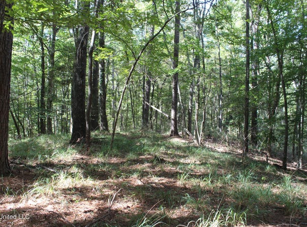 Fox Road, Gloster, MS 39638