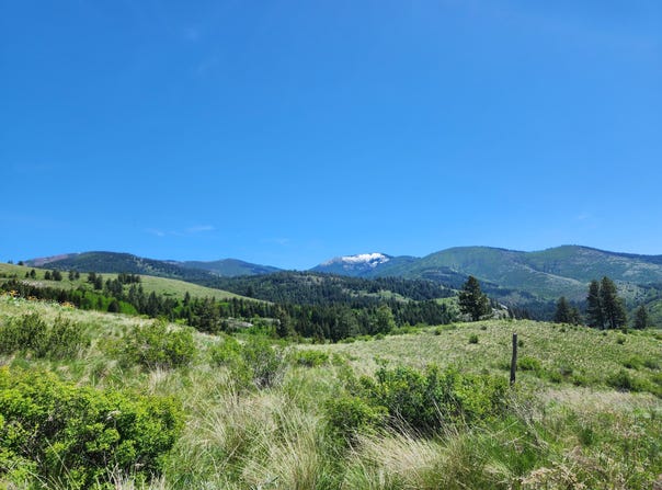12 DIGNITY RANCH RD, MALO, WA 99150
