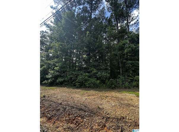 SANDY DRIVE, MCCALLA, AL 35111