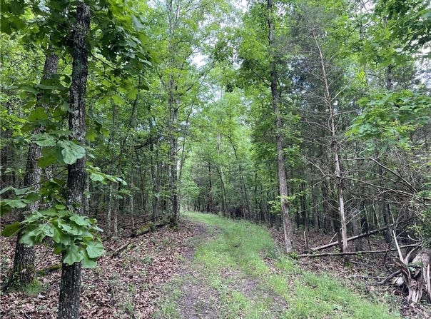 14.94 Acres on Meadow Creek  DR, Harrison, AR 72601