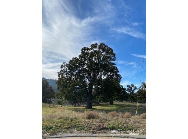 0 High Echelon Court, Tehachapi, CA 93561